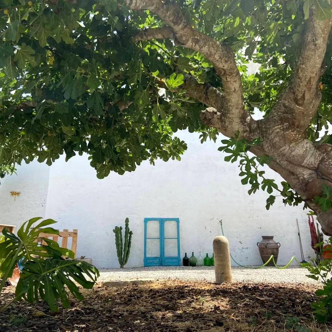 Casa da Avó Nina Fuseta - Sala de Jantar